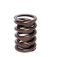 COMP Cams Valve Spring 1.510in Outer W/D