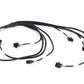 Haltech NEXUS Rebel LS Multec 2 Injector Sub-Harness (Plug-n-Play w/HT-186500)