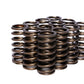 COMP Cams Valve Springs 0.960in Inner R