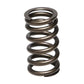 Manley Toyota (3UR-FE) 32pc Valve Springs