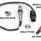 Haltech NEXUS Rebel LS Kit (Suits Gen IV) 6-Pin DBW Throttle/EV6 Injectors/Manual Transmission