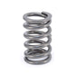 COMP Cams Valve Spring 1.320in O.D. Sing