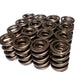 COMP Cams Valve Springs 1.625in CHR/Sil