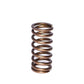 COMP Cams Valve Spring 0.940in Inner Bl