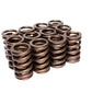 COMP Cams Valve Springs 1.255in High Per