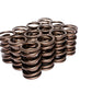 COMP Cams Valve Springs For 984-973