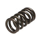 Manley Toyota (3UR-FE) 32pc Valve Springs