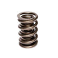 COMP Cams Valve Spring 1.539in Dual W/Da