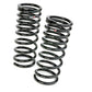 RS-R 08+ Mitsubishi Evolution X (CZ4A) Down Sus Springs