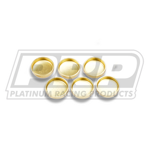 SR Welch Plug Fitting Kit